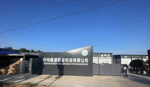 喜贺德州鑫盛鹿茸菇厂批量租赁10台ID.4 Crozz，绿色出行助力企业发展